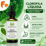 🌿 Clorofila Líquida Natural™ | Frescura, Bienestar y Ligereza Cada Día